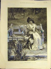 Original Old Antique Print 1886 Room-For-Two Morgan Lady Bench Dogs Park 19th