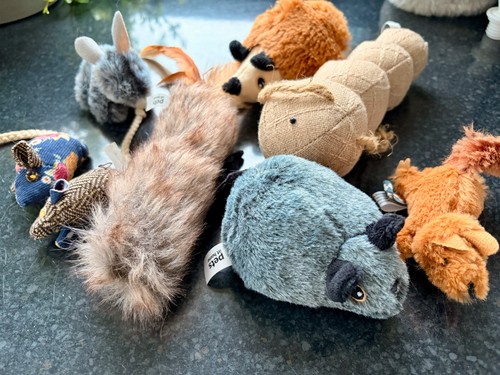 Bundle cat toys - (pets, at