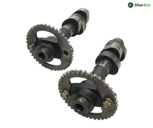 Honda 600 1988 2000 - 600, c