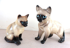 Two vintage siamese cat - two,