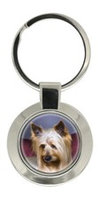 Australian Silky Terrier Key