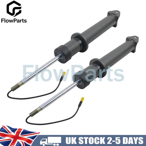 Air suspension shock rear - 2x,