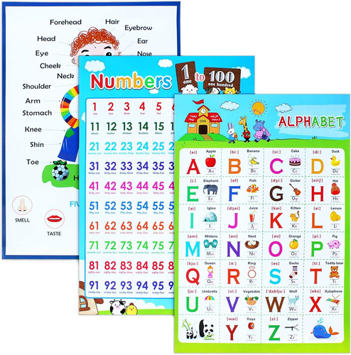 Educational posters set - posters,