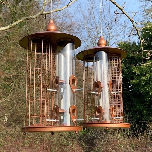 Hanging wild garden bird - hanging,