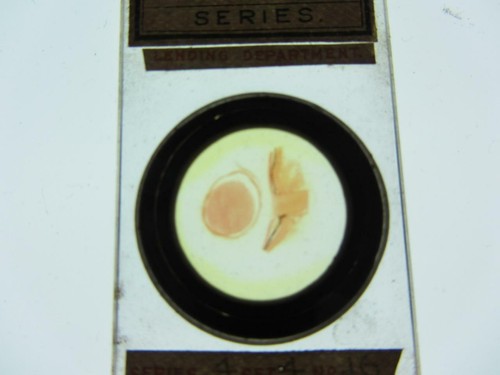 Baker antique biological - c.,