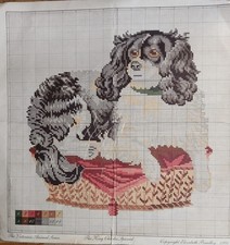 Elizabeth Bradley 16 x 16 inch