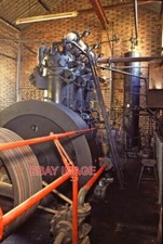 PHOTO  (2) THOMAS GLENISTER