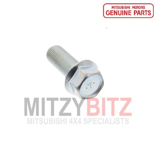 Camshaft pulley bolt - camshaft,