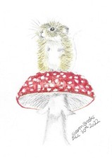 Mouse on Toad Stool Colour