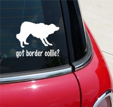 GOT BORDER COLLIE? COLLIE DOG