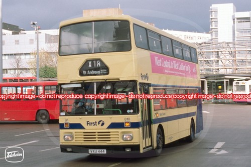 Bus photo midland bluebird - bus,