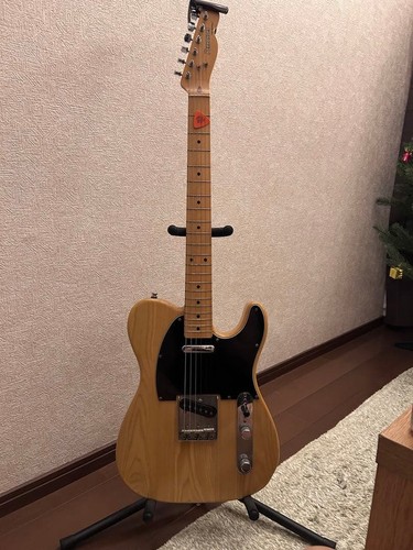 Fernandes telecaster safe - fernandes,