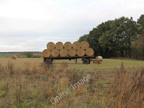 Photo 6x4 circular straw bales - 6x4,