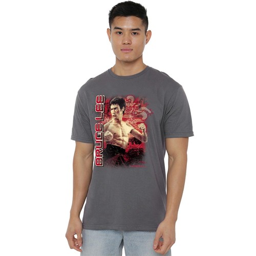 Bruce lee fury - lee,