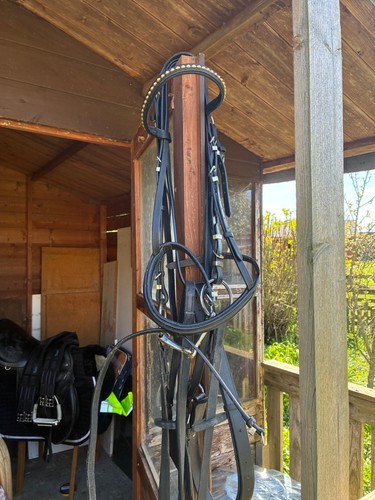 Full size bridle - ,breast, plate