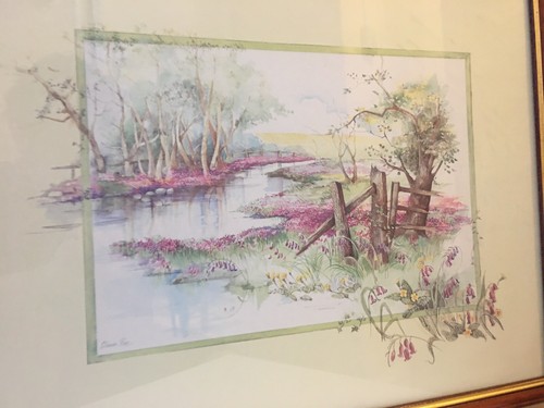 Glenda rae framed print - framed,