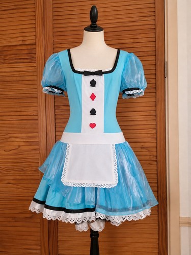 Alice wonderland costume - in,