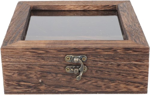 Butterfly specimen display - butterfly, box