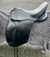Barnsby Raven - 17.5 Spring