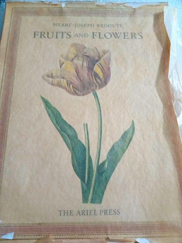 1955 redoute fruits flowers - 1955, &