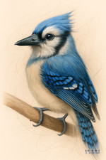 Charming Animal Fridge Magnets