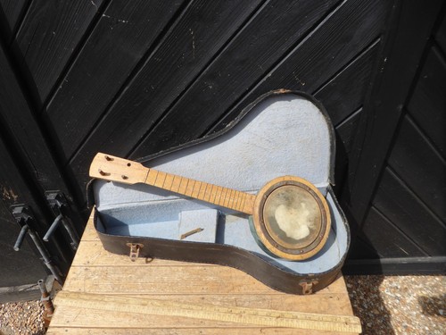 Vintage string banjo - vintage, /