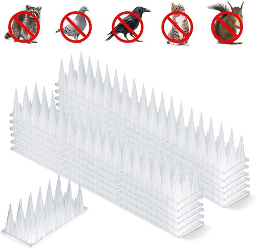 Plastic bird spikes - plastic, fences