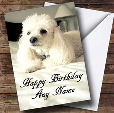 White Poodle Personalised