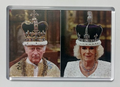 Extra large fridge magnet - extra,