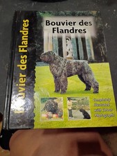 Bouvier Des Flandres