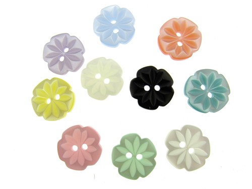 Round daisy flower cut - daisy,