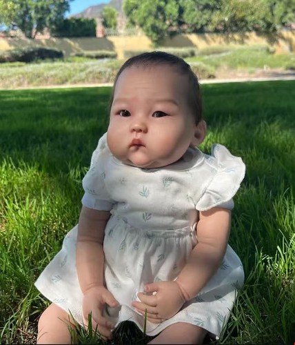 19inch assembled reborn baby - reborn,