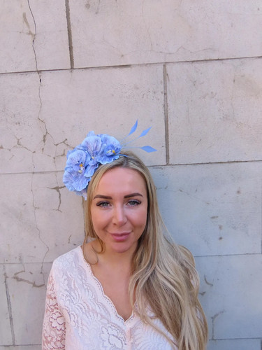 Cornflower light blue - cornflower,