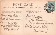 FAMILY HISTORY - GENEALOGY