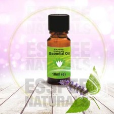 Patchouli Commercial  Oil 10ml