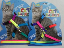 (H012) Multi Coloured Cat