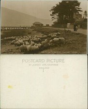 Holy Loch Waiting For The