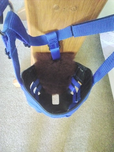 Pad for ultimate grazing - pad,