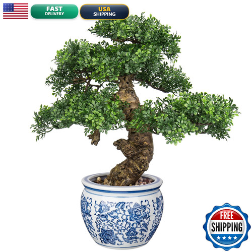 Dilatata fake bonsai tree - fake,