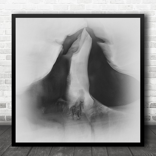Black white blurry horse - white,