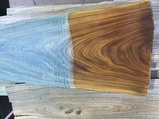 Argentine lignum vitae - argentine,