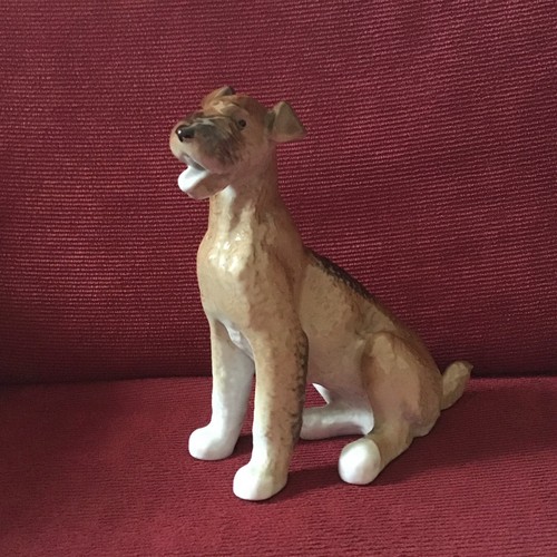 Vintage airedale terrier - ,