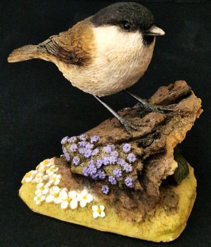 Marsh tit bird - marsh, figurine