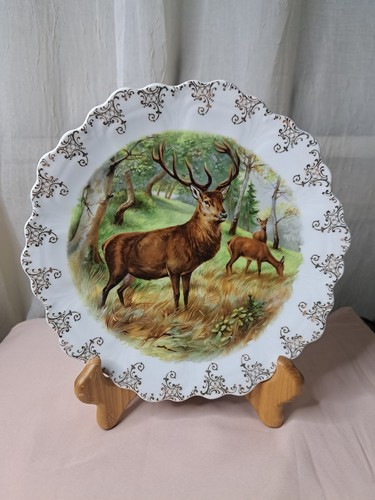 Zeh scherzer co - scherzer, s.