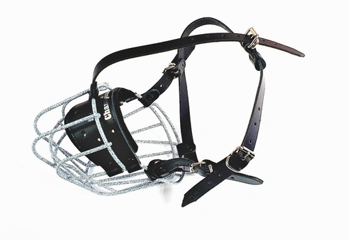 Metal wire basket dog - dog, |