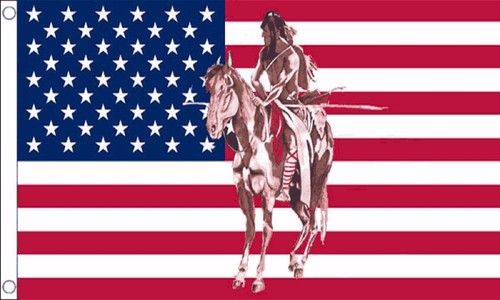 Native american horse - native,