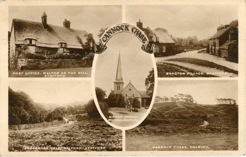Real photo multiview postcard - real,