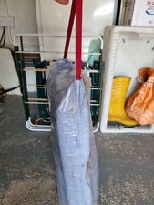 Lightweight Archery Target 60x50x10cm Foam Target. 2 x face & pins