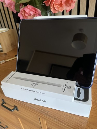 Mint apple ipad air 5th - ipad, m1