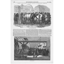 SMITHFIELD Cattle Club Show -